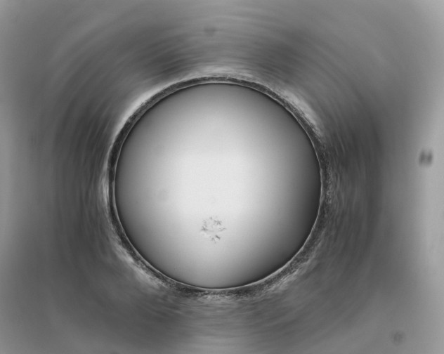 X0000096160888200802011253