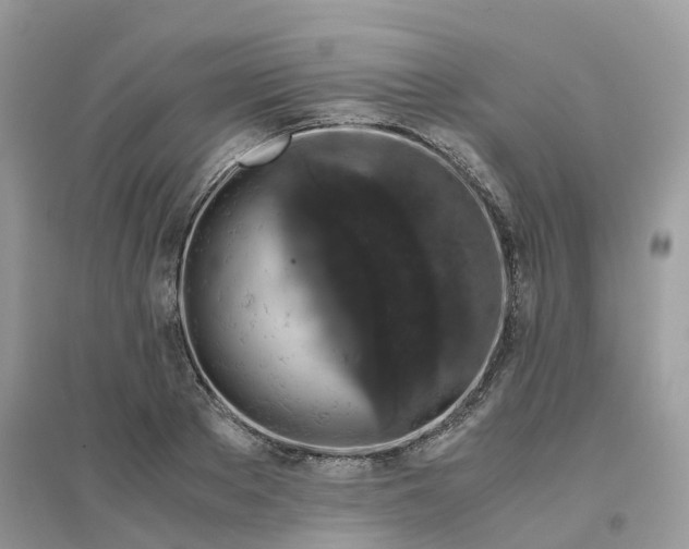 X0000096160889200802011253