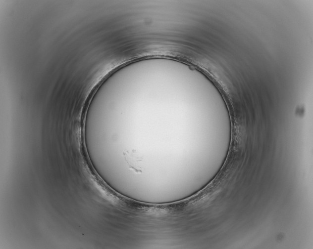 X0000096160890200802011253