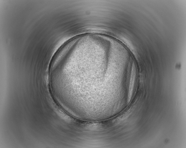 X0000096160891200802011253