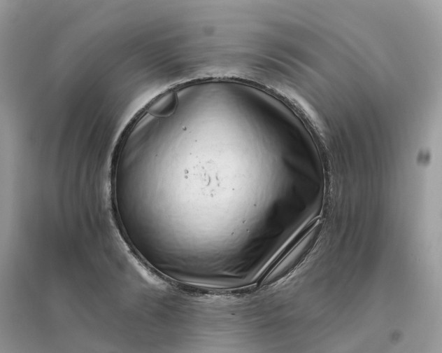 X0000096160894200802011253