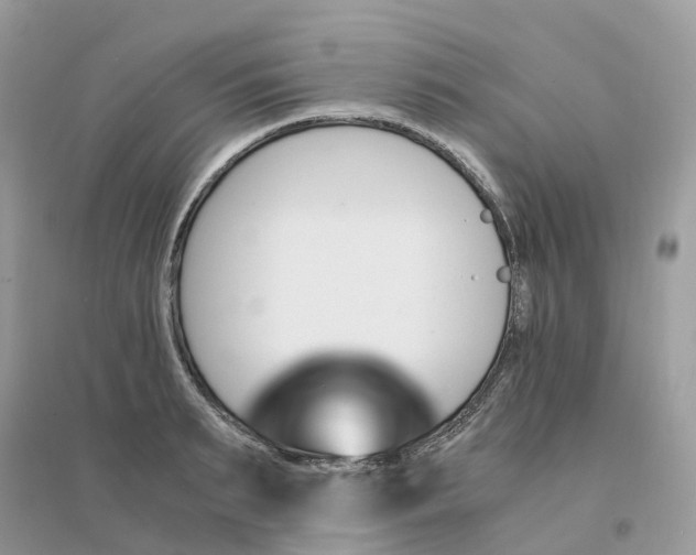 X0000096160895200802011253