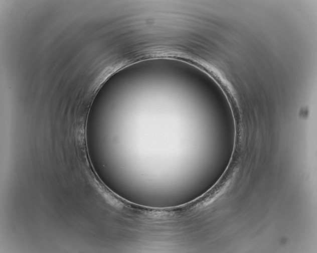 X0000096160897200802011253