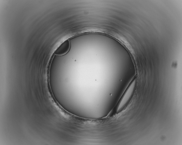 X0000096160898200802011253