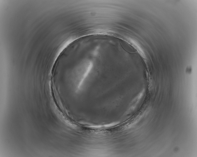 X0000096160899200802011253