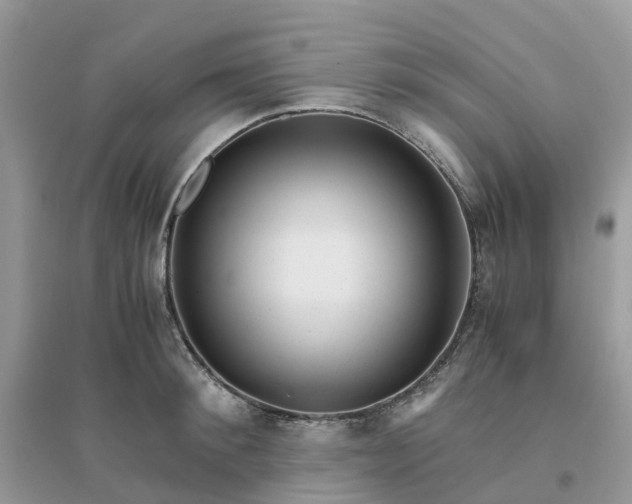 X0000096160900200802011253