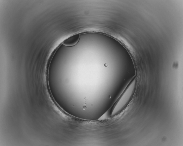 X0000096160902200802011253