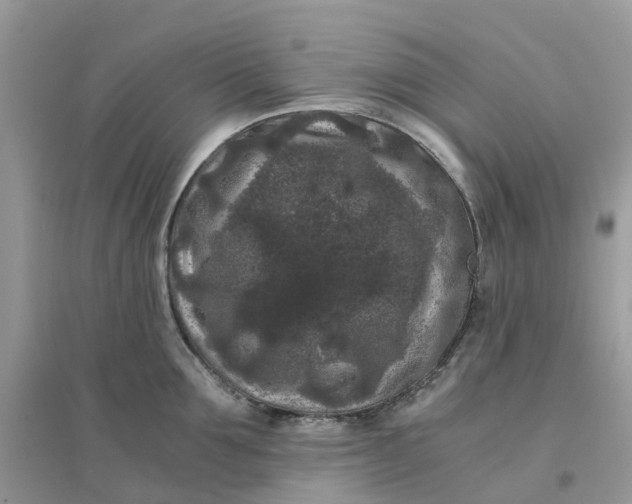 X0000096160907200802011253