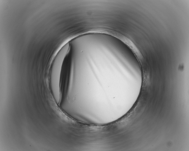 X0000096160908200802011253