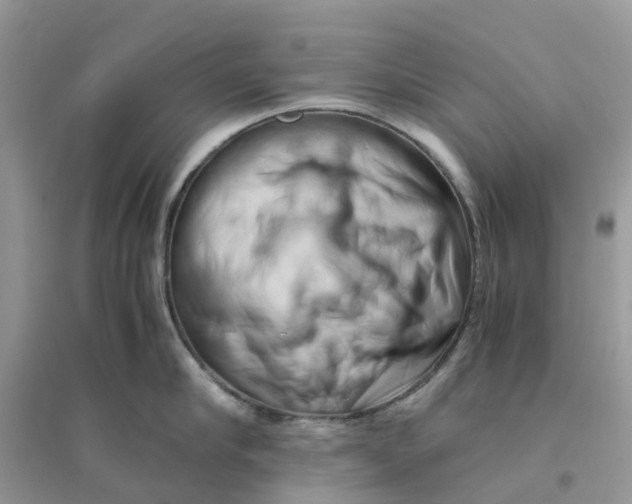 X0000096160910200802011253