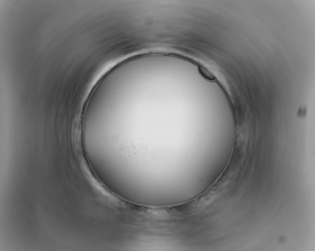 X0000096160911200802011253