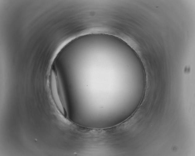 X0000096160912200802011253