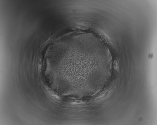 X0000096160915200802011252