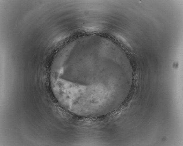 X0000096160917200802011252