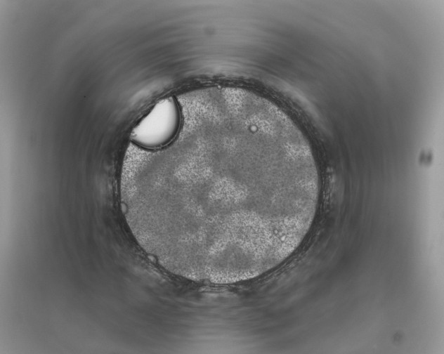 X0000096160918200802011252