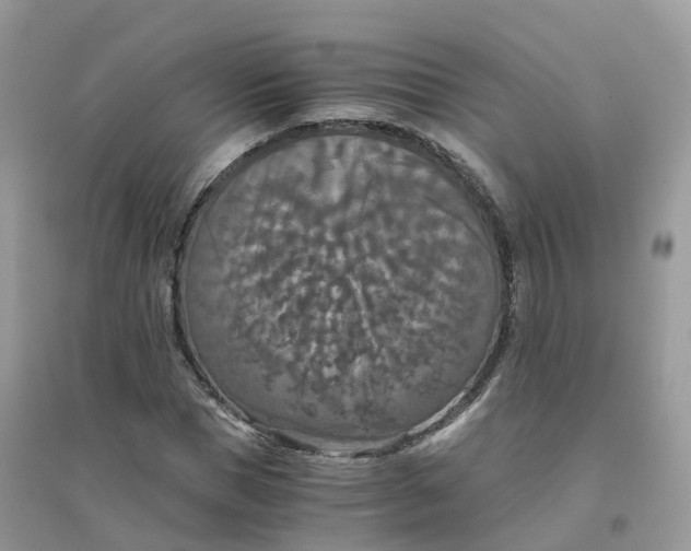 X0000096160921200802011252