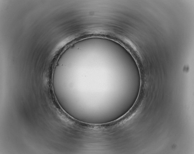 X0000096160922200802011252