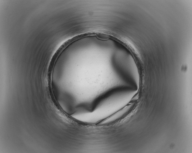 X0000096160924200802011252