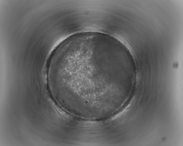 X0000096160925200802011252