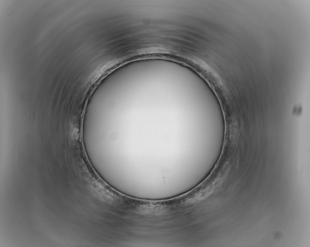 X0000096160929200802011252