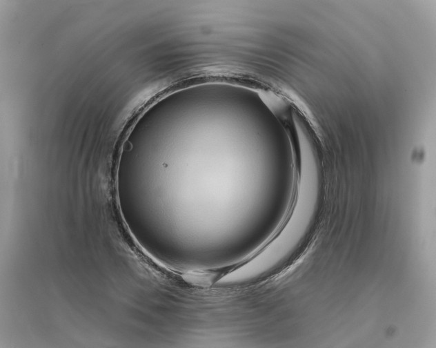 X0000096160930200802011252