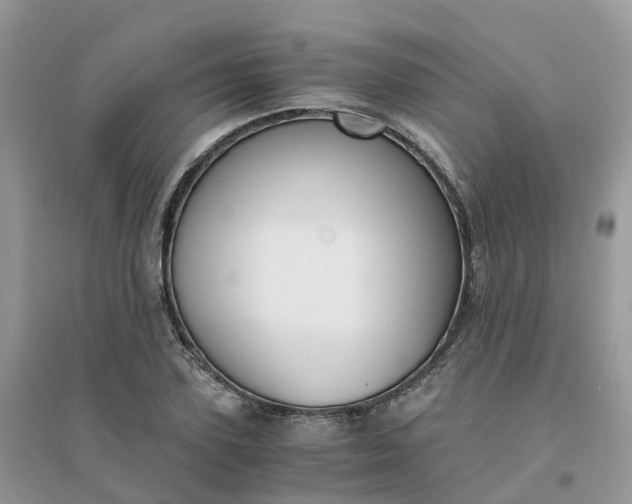 X0000096160931200802011252