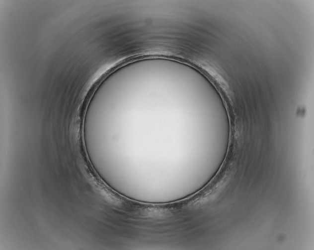 X0000096160933200802011252