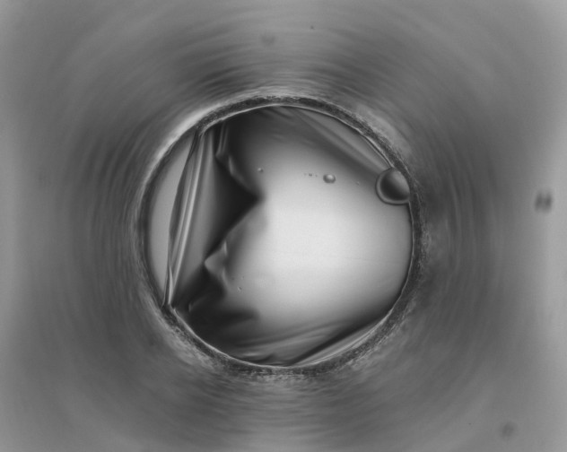 X0000096160934200802011252