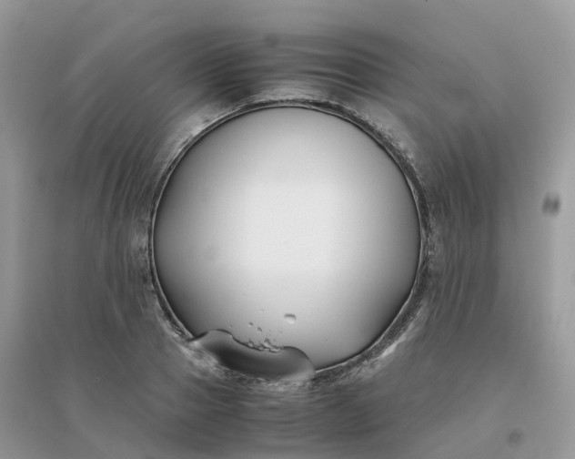 X0000096160937200802011252