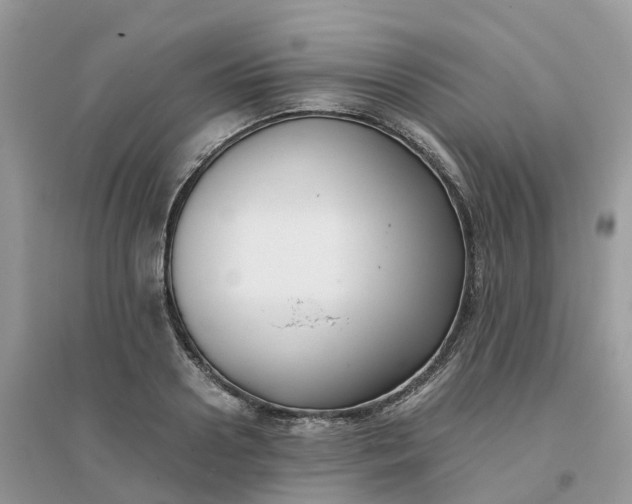 X0000096160938200802011252