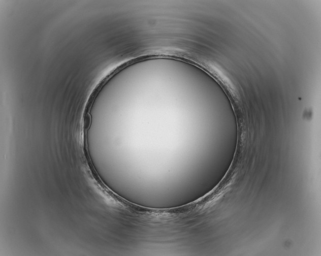 X0000096160940200802011252