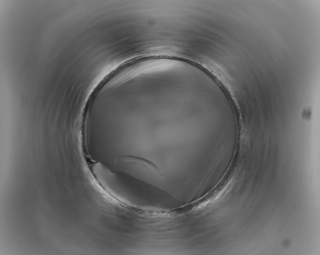 X0000096160941200802011252