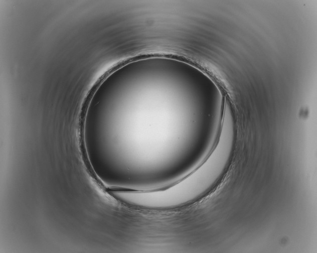 X0000096160942200802011252