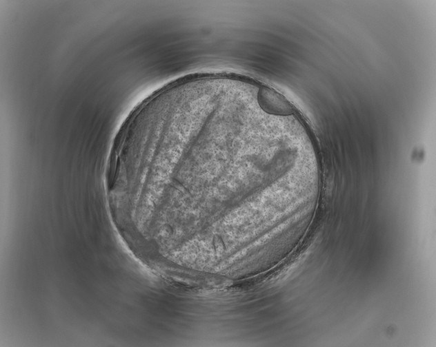 X0000096160943200802011252