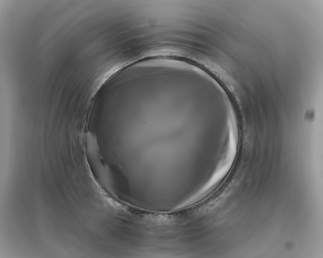 X0000096160945200802011252