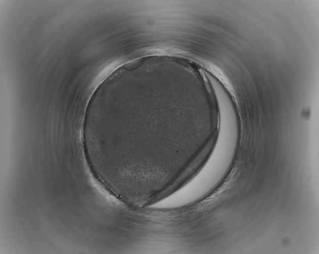 X0000096160946200802011252