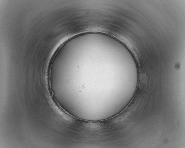 X0000096160947200802011252