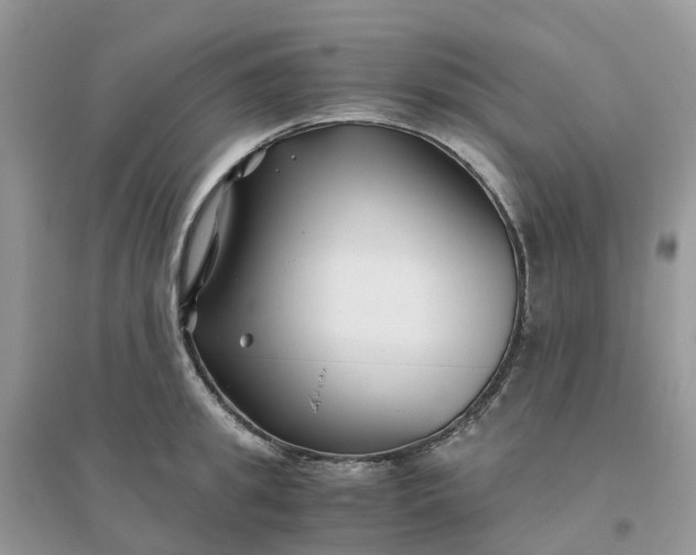 X0000096160949200802011252