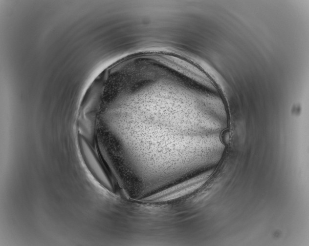 X0000096160951200802011252