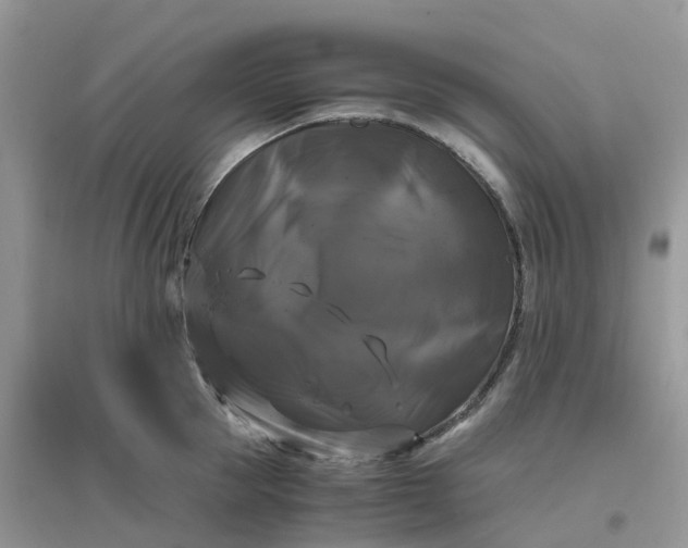 X0000096160953200802011252