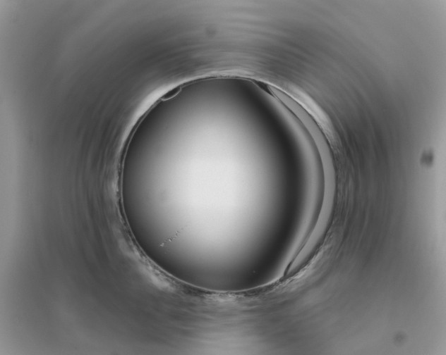 X0000096160956200802011252