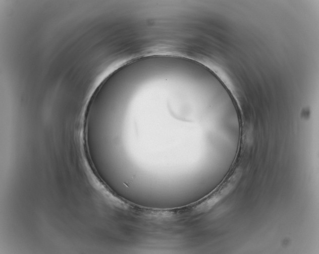 X0000096160957200802011253