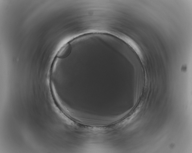 X0000096160958200802011253