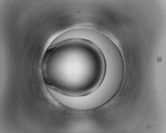 X0000096160960200802011253