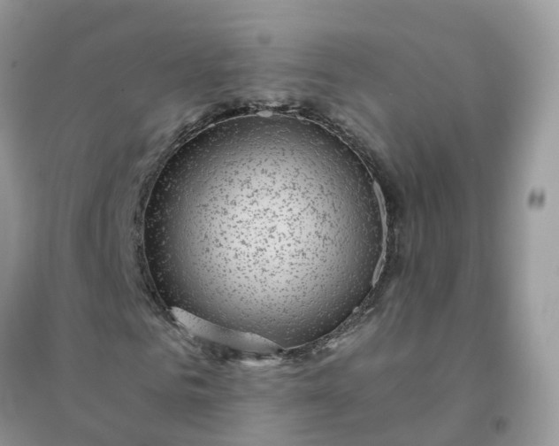 X0000096160961200802011252