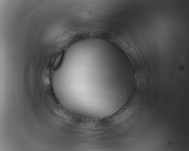 X0000096160962200802011252