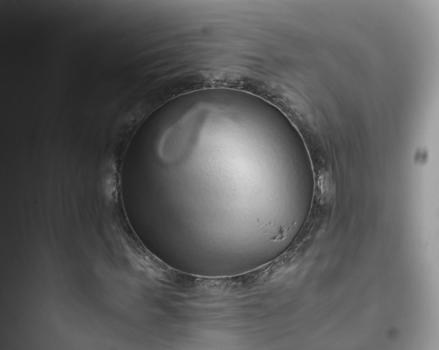 X0000096160963200802011252