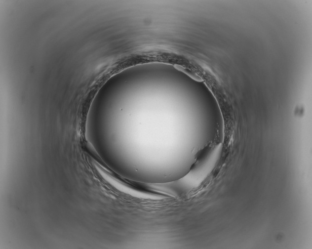 X0000096160965200802011252