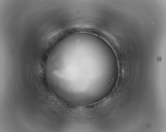 X0000096160966200802011252