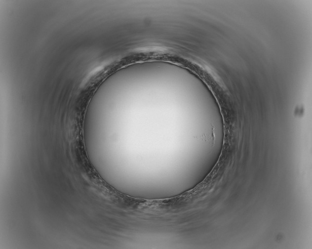 X0000096160967200802011252